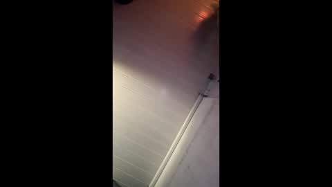 theonlyboi43ver online show from 27, 12, 2024