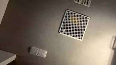 theonlyboi43ver online show from 24, 10, 2025