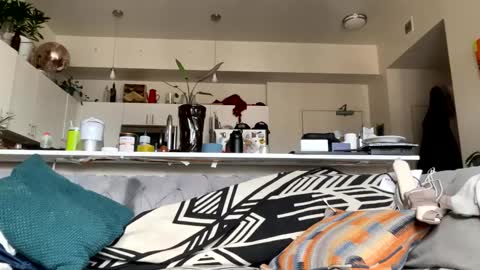 Snapshot of theoutfitter chatting on 26, 12, 2024 MISTERPOWERS online show from 26, 12, 2024