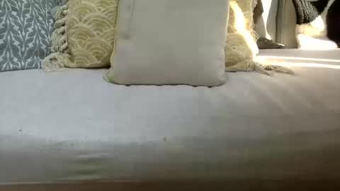 Thanos Grand 69 online show from 10, 10, 2025