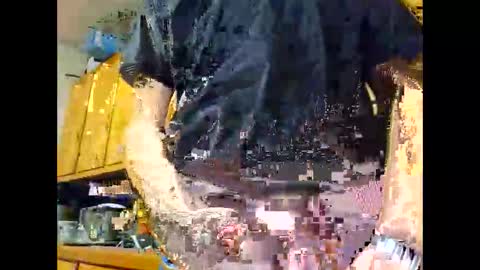 therizzler_1_of_1 online show from 22, 10, 2025