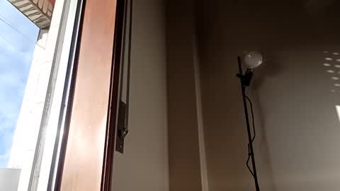 thesixpack_ online show from 7, 3, 2026