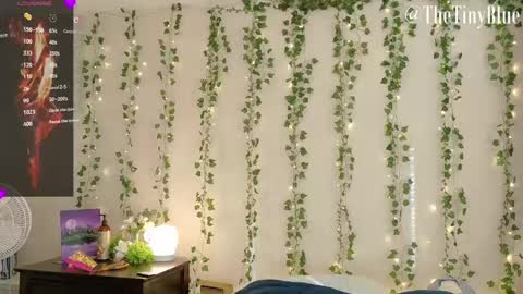 Tiny Blue online show from 12, 2, 2025