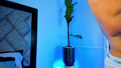 Snapshot of thiagoferrari1 chatting on 29, 12, 2024 thiago online show from 29, 12, 2024