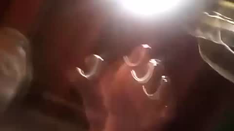 Snapshot of thickdick513 chatting on 21, 12, 2024 thickdick513 online show from 21, 12, 2024