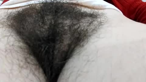 Snapshot of thickforest chatting on 17, 12, 2024 MilkyChoco online show from 17, 12, 2024