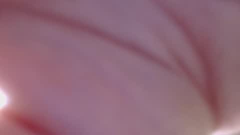 thickwhiteload online show from 11, 5, 2026
