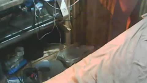 Thisguyscott online show from 18, 1, 2026