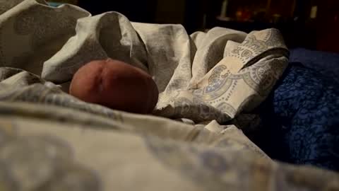 Snapshot of thisloadsforu chatting on 9, 2, 2025 thisloadsforu online show from 9, 2, 2025