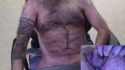 Snapshot of thor_on_cam chatting on 17, 2, 2026 Prince Al online show from 17, 2, 2026