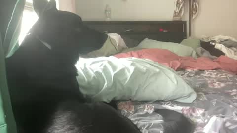 Snapshot of throatyygoat chatting on 21, 9, 2025 throatyygoat online show from 21, 9, 2025