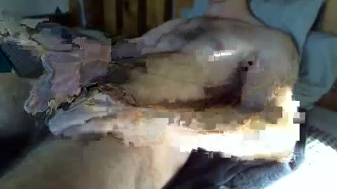 throbmasterr online show from 19, 12, 2025