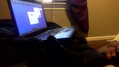 Tierra Henri online show from 2, 2, 2025