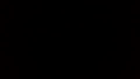 tiff online show from 19, 12, 2024