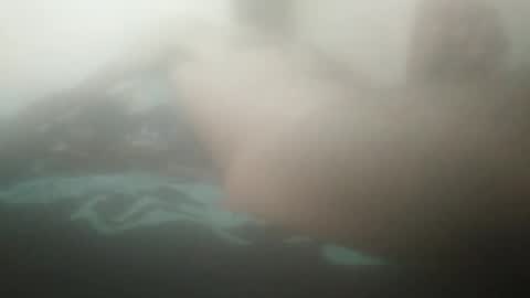 tiger005588 online show from 19, 9, 2025