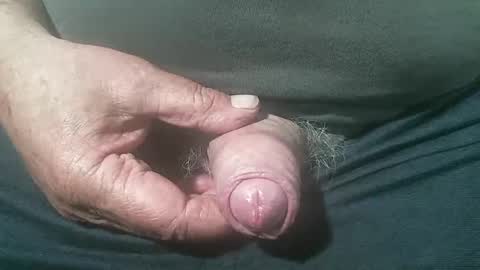 tiger1181 online show from 13, 9, 2025