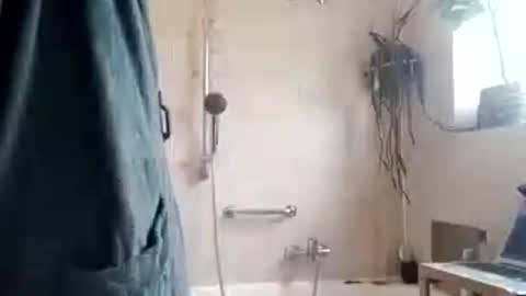 Snapshot of tigertrance chatting on 11, 11, 2025 tigertrance online show from 11, 11, 2025