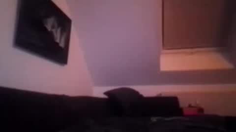 Snapshot of tigertrance chatting on 17, 11, 2025 tigertrance online show from 17, 11, 2025