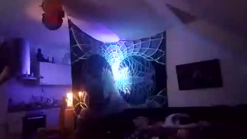 Snapshot of tigertrance chatting on 2, 12, 2025 tigertrance online show from 2, 12, 2025