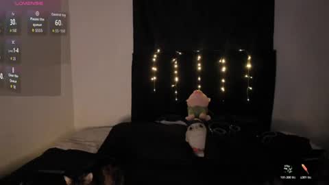 Snapshot of tim__fox chatting on 24, 6, 2026 Tim Fox online show from 24, 6, 2026