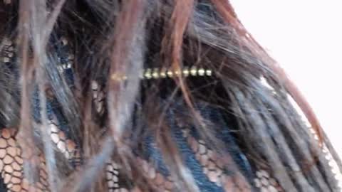 tinakay1 online show from 17, 12, 2024