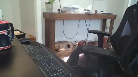 5 day load on deck online show from 24, 3, 2026