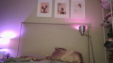 Tipsy Daisy online show from 27, 12, 2024