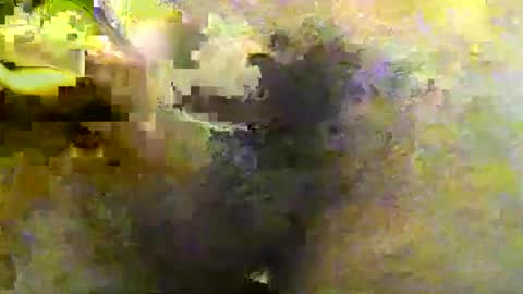 Snapshot of tirius_barkhan chatting on 30, 11, 2025 Tirius Barkhan online show from 30, 11, 2025