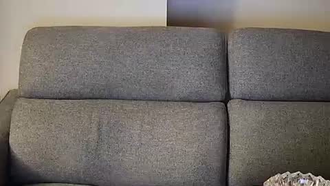 tittylandqc online show from 10, 1, 2026