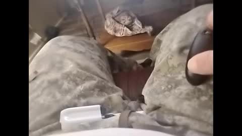 tjllagwbggrr online show from 3, 2, 2026