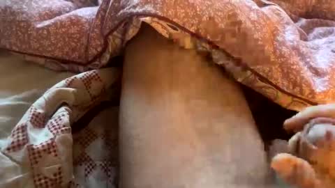 tliverth online show from 28, 11, 2025