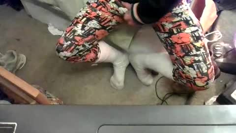 to69isdevine online show from 11, 4, 2026