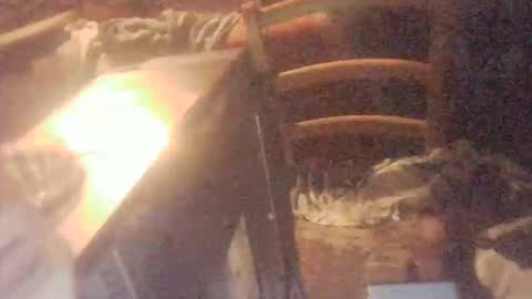 tobimcfly723 online show from 16, 4, 2026