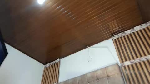 Tokio online show from 24, 3, 2026