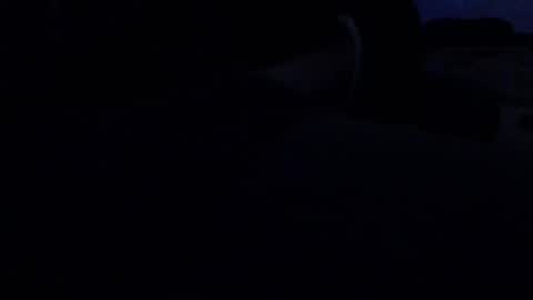 tolon408472 online show from 17, 1, 2026