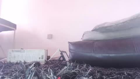   Thomas    online show from 26, 2, 2026