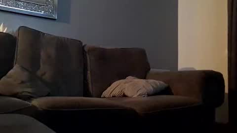 Snapshot of tommygee8805 chatting on 6, 12, 2024 Tonyfun online show from 6, 12, 2024