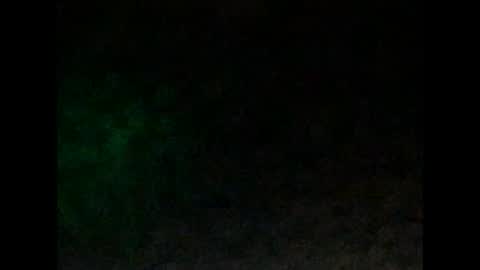 Snapshot of tonydigitt chatting on 4, 1, 2025 tonyd online show from 4, 1, 2025