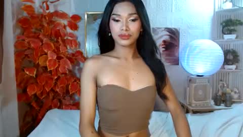 toptrans venice online show from 11, 4, 2026