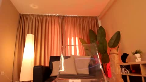 torri kitten online show from 17, 3, 2026