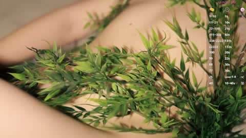 Toshi online show from 9, 4, 2026