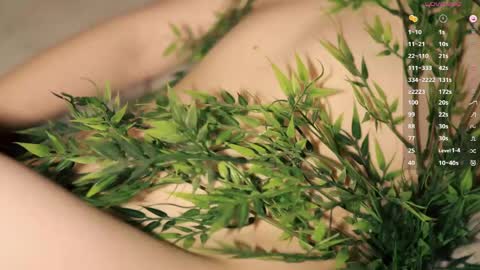 Toshi online show from 12, 4, 2026