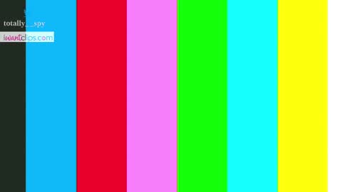 Snapshot of totally_spy chatting on 3, 3, 2025 Madam Viktoria Vacation in Portugal 2811 - 0412 online show from 3, 3, 2025