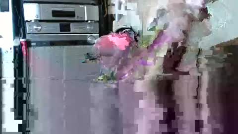 Snapshot of traler_xxxx chatting on 1, 11, 2025 traler_xxxx online show from 1, 11, 2025