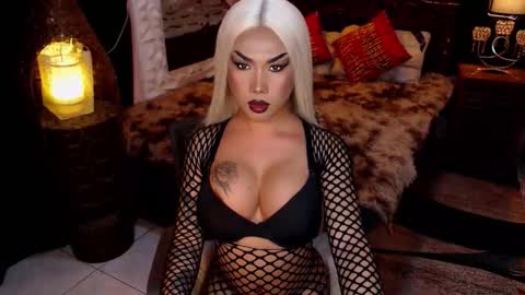 transpornidol online show from 4, 2, 2026