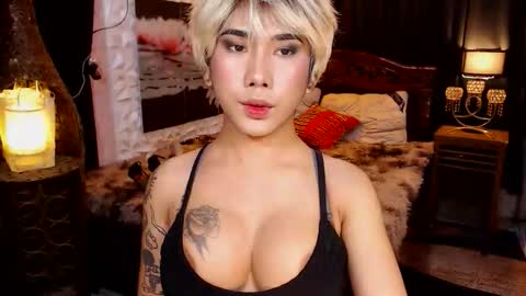 transpornidol online show from 13, 2, 2026