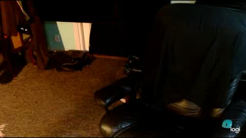 Snapshot of transwinnietv chatting on 30, 6, 2026 transwinnietv online show from 30, 6, 2026