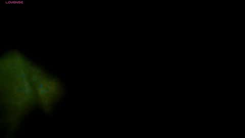 TRAVIS. online show from 13, 11, 2025