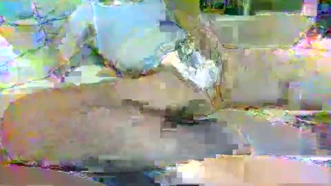 Snapshot of tree33007 chatting on 3, 11, 2025 tree33007 online show from 3, 11, 2025