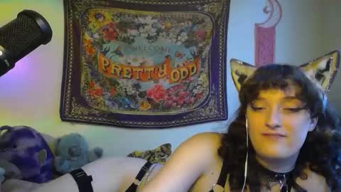 Snapshot of treecups chatting on 23, 9, 2025 treecups online show from 23, 9, 2025